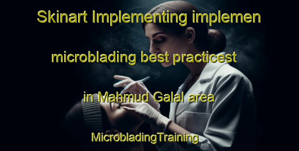 Skinart Implementing implemen microblading best practicest in Mahmud Galal area | MicrobladingTraining | MicrobladingClasses | SkinartTraining-Egypt