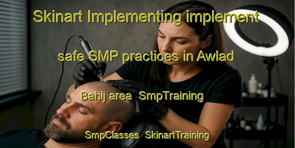 Skinart Implementing implement safe SMP practices in Awlad Bahij area | SmpTraining | SmpClasses | SkinartTraining-Egypt