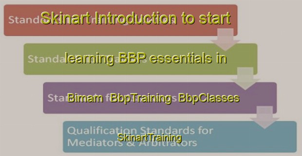 Skinart Introduction to start learning BBP essentials in Bimam | BbpTraining | BbpClasses | SkinartTraining-Egypt