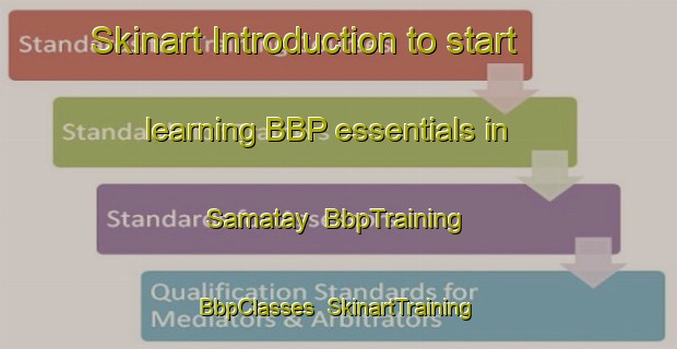 Skinart Introduction to start learning BBP essentials in Samatay | BbpTraining | BbpClasses | SkinartTraining-Egypt
