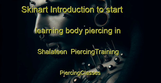 Skinart Introduction to start learning body piercing in Shalateen | #PiercingTraining #PiercingClasses #SkinartTraining-Egypt