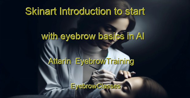 Skinart Introduction to start with eyebrow basics in Al Attarin | EyebrowTraining | EyebrowClasses | SkinartTraining-Egypt