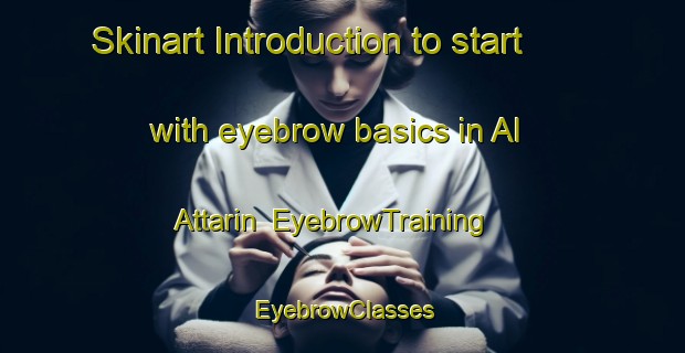 Skinart Introduction to start with eyebrow basics in Al Attarin | EyebrowTraining | EyebrowClasses | SkinartTraining-Egypt
