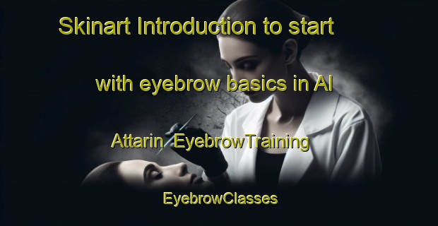 Skinart Introduction to start with eyebrow basics in Al Attarin | EyebrowTraining | EyebrowClasses | SkinartTraining-Egypt