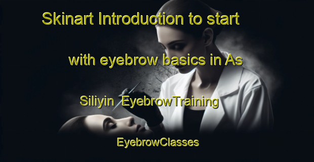 Skinart Introduction to start with eyebrow basics in As Siliyin | EyebrowTraining | EyebrowClasses | SkinartTraining-Egypt