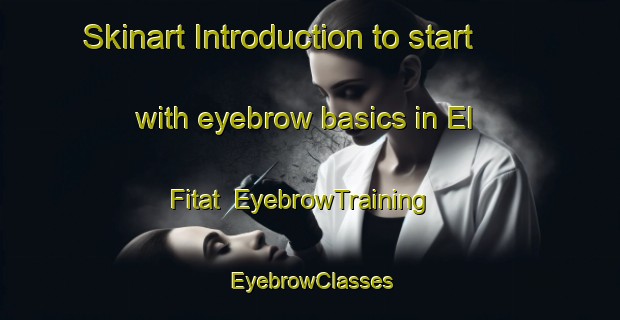Skinart Introduction to start with eyebrow basics in El Fitat | EyebrowTraining | EyebrowClasses | SkinartTraining-Egypt
