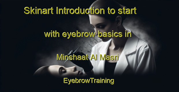 Skinart Introduction to start with eyebrow basics in Minshaat Al Masri | EyebrowTraining | EyebrowClasses | SkinartTraining-Egypt