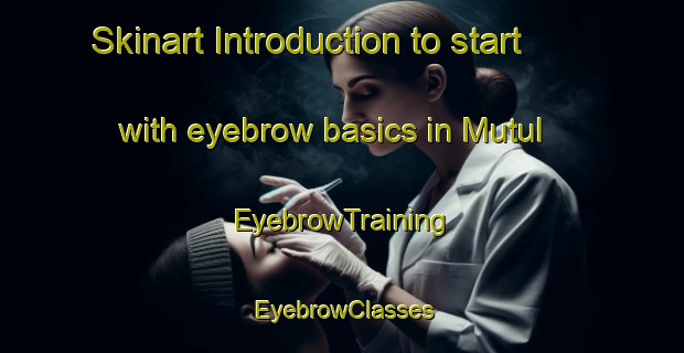 Skinart Introduction to start with eyebrow basics in Mutul | EyebrowTraining | EyebrowClasses | SkinartTraining-Egypt