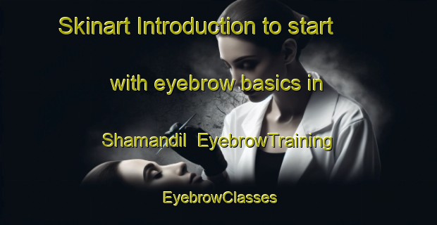Skinart Introduction to start with eyebrow basics in Shamandil | EyebrowTraining | EyebrowClasses | SkinartTraining-Egypt