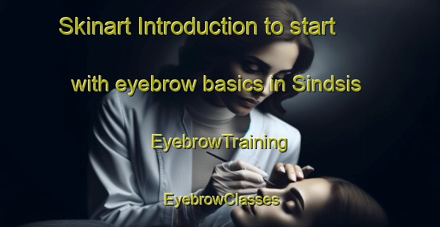 Skinart Introduction to start with eyebrow basics in Sindsis | EyebrowTraining | EyebrowClasses | SkinartTraining-Egypt