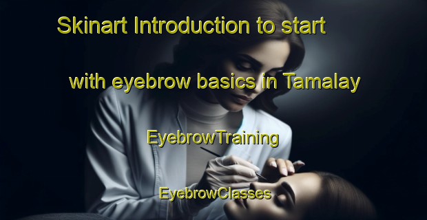 Skinart Introduction to start with eyebrow basics in Tamalay | EyebrowTraining | EyebrowClasses | SkinartTraining-Egypt
