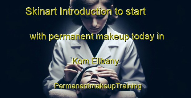 Skinart Introduction to start with permanent makeup today in Kom Ellbany | PermanentmakeupTraining | PermanentmakeupClasses | SkinartTraining-Egypt
