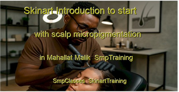 Skinart Introduction to start with scalp micropigmentation in Mahallat Malik | SmpTraining | SmpClasses | SkinartTraining-Egypt
