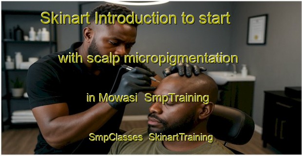 Skinart Introduction to start with scalp micropigmentation in Mowasi | SmpTraining | SmpClasses | SkinartTraining-Egypt