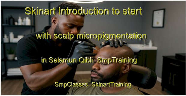 Skinart Introduction to start with scalp micropigmentation in Salamun Qibli | SmpTraining | SmpClasses | SkinartTraining-Egypt