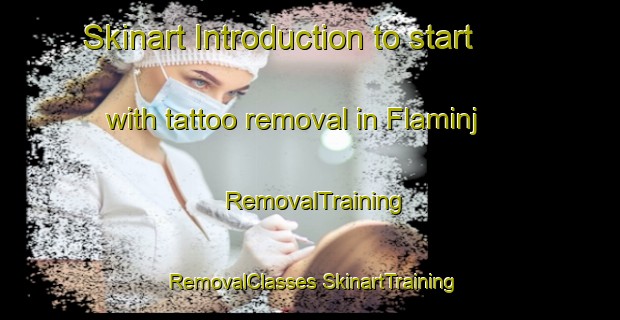 Skinart Introduction to start with tattoo removal in Flaminj | #RemovalTraining #RemovalClasses #SkinartTraining-Egypt