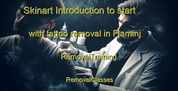 Skinart Introduction to start with tattoo removal in Flaminj | RemovalTraining | RemovalClasses | SkinartTraining-Egypt