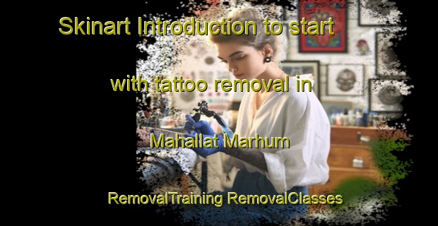 Skinart Introduction to start with tattoo removal in Mahallat Marhum | #RemovalTraining #RemovalClasses #SkinartTraining-Egypt