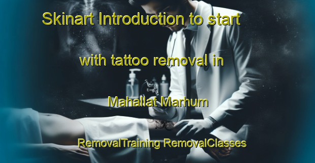 Skinart Introduction to start with tattoo removal in Mahallat Marhum | #RemovalTraining #RemovalClasses #SkinartTraining-Egypt