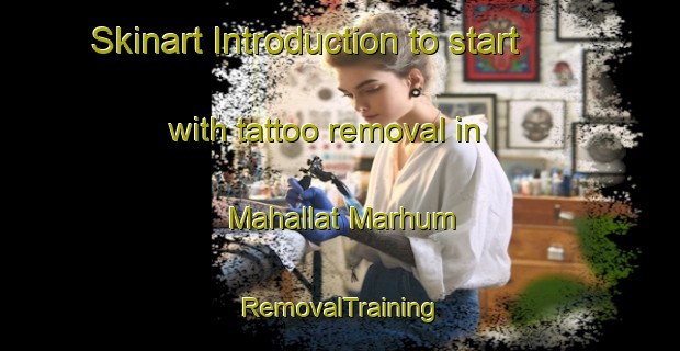 Skinart Introduction to start with tattoo removal in Mahallat Marhum | RemovalTraining | RemovalClasses | SkinartTraining-Egypt