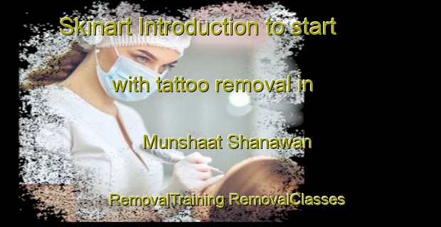 Skinart Introduction to start with tattoo removal in Munshaat Shanawan | #RemovalTraining #RemovalClasses #SkinartTraining-Egypt