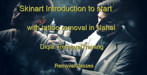 Skinart Introduction to start with tattoo removal in Nahal Diqla | RemovalTraining | RemovalClasses | SkinartTraining-Egypt