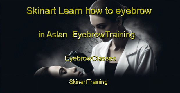 Skinart Learn how to eyebrow in Aslan | EyebrowTraining | EyebrowClasses | SkinartTraining-Egypt