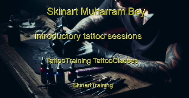 Skinart Muharram Bey introductory tattoo sessions | #TattooTraining #TattooClasses #SkinartTraining-Egypt