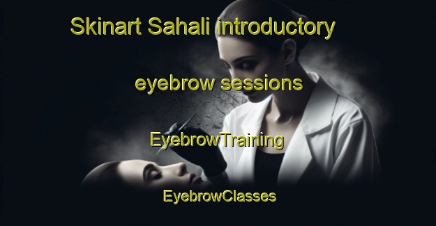 Skinart Sahali introductory eyebrow sessions | EyebrowTraining | EyebrowClasses | SkinartTraining-Egypt