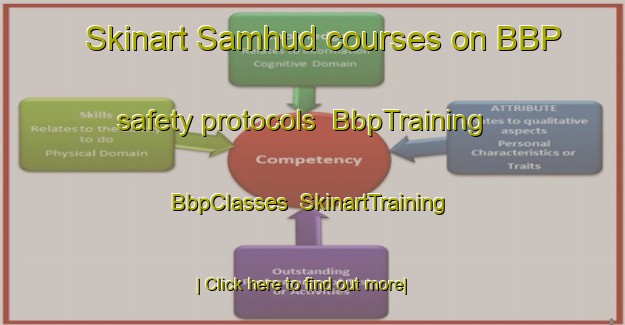 Skinart Samhud courses on BBP safety protocols | BbpTraining | BbpClasses | SkinartTraining-Egypt