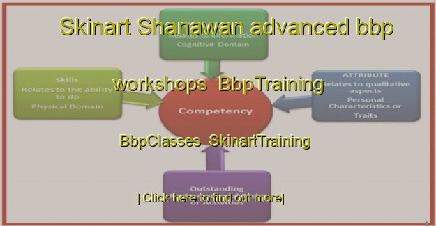 Skinart Shanawan advanced bbp workshops | BbpTraining | BbpClasses | SkinartTraining-Egypt