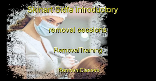 Skinart Sidfa introductory removal sessions | RemovalTraining | RemovalClasses | SkinartTraining-Egypt