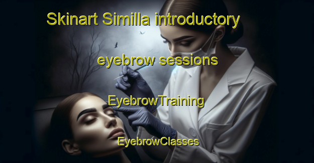 Skinart Similla introductory eyebrow sessions | EyebrowTraining | EyebrowClasses | SkinartTraining-Egypt