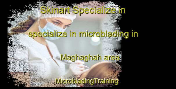 Skinart Specialize in specialize in microblading in Maghaghah area | #MicrobladingTraining #MicrobladingClasses #SkinartTraining-Egypt