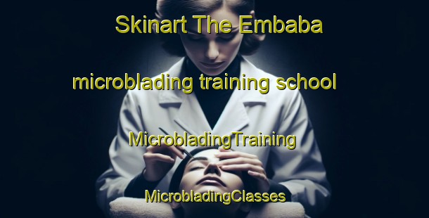 Skinart The Embaba microblading training school | #MicrobladingTraining #MicrobladingClasses #SkinartTraining-Egypt