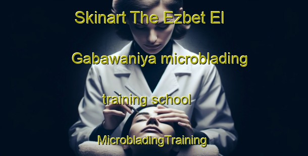 Skinart The Ezbet El Gabawaniya microblading training school | #MicrobladingTraining #MicrobladingClasses #SkinartTraining-Egypt