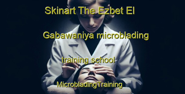 Skinart The Ezbet El Gabawaniya microblading training school | MicrobladingTraining | MicrobladingClasses | SkinartTraining-Egypt