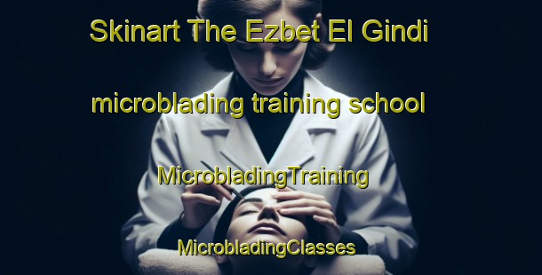 Skinart The Ezbet El Gindi microblading training school | MicrobladingTraining | MicrobladingClasses | SkinartTraining-Egypt