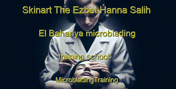 Skinart The Ezbet Hanna Salih El Bahariya microblading training school | #MicrobladingTraining #MicrobladingClasses #SkinartTraining-Egypt