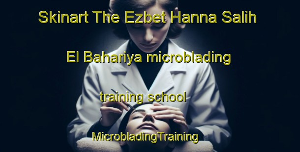 Skinart The Ezbet Hanna Salih El Bahariya microblading training school | MicrobladingTraining | MicrobladingClasses | SkinartTraining-Egypt