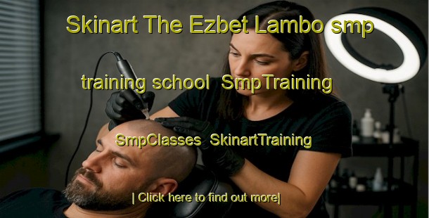 Skinart The Ezbet Lambo smp training school | SmpTraining | SmpClasses | SkinartTraining-Egypt