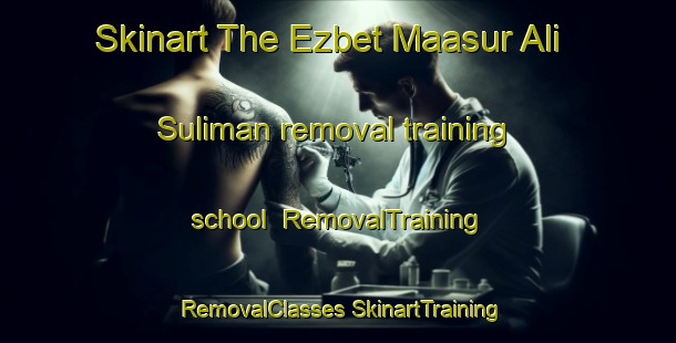 Skinart The Ezbet Maasur Ali Suliman removal training school | #RemovalTraining #RemovalClasses #SkinartTraining-Egypt