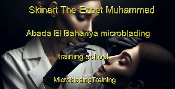 Skinart The Ezbet Muhammad Abada El Bahariya microblading training school | MicrobladingTraining | MicrobladingClasses | SkinartTraining-Egypt