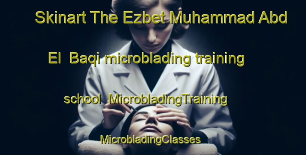 Skinart The Ezbet Muhammad Abd El  Baqi microblading training school | MicrobladingTraining | MicrobladingClasses | SkinartTraining-Egypt