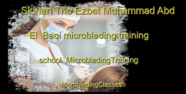 Skinart The Ezbet Muhammad Abd El  Baqi microblading training school | MicrobladingTraining | MicrobladingClasses | SkinartTraining-Egypt