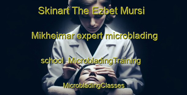 Skinart The Ezbet Mursi Mikheimar expert microblading school | #MicrobladingTraining #MicrobladingClasses #SkinartTraining-Egypt