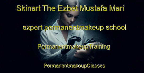Skinart The Ezbet Mustafa Mari expert permanentmakeup school | PermanentmakeupTraining | PermanentmakeupClasses | SkinartTraining-Egypt