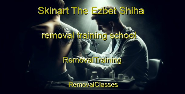 Skinart The Ezbet Shiha removal training school | RemovalTraining | RemovalClasses | SkinartTraining-Egypt