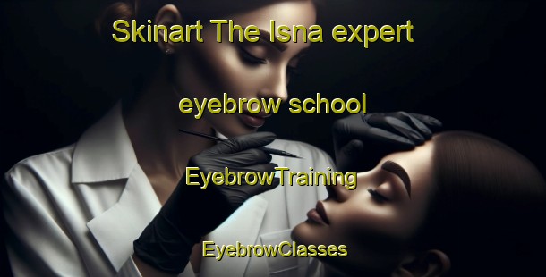 Skinart The Isna expert eyebrow school | EyebrowTraining | EyebrowClasses | SkinartTraining-Egypt
