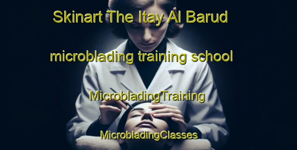 Skinart The Itay Al Barud microblading training school | #MicrobladingTraining #MicrobladingClasses #SkinartTraining-Egypt